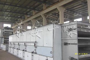 DWT series dehydrated vegetable dryer
